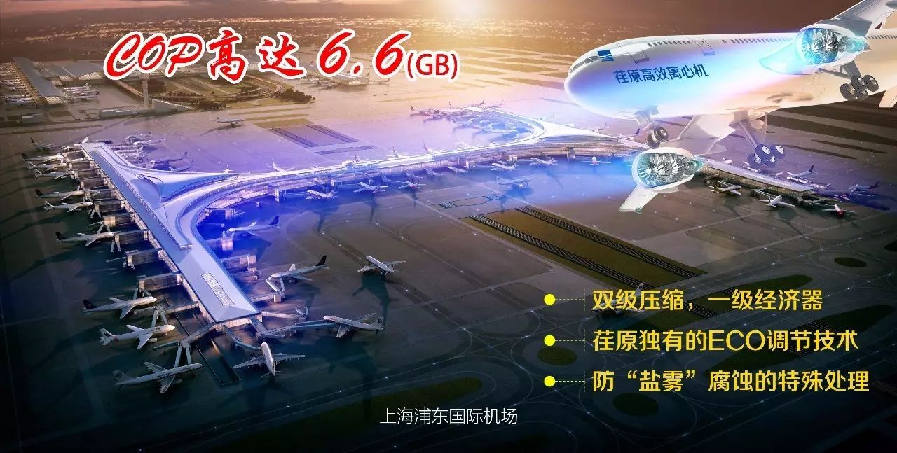 上海浦东国际机场三期项目花落荏原